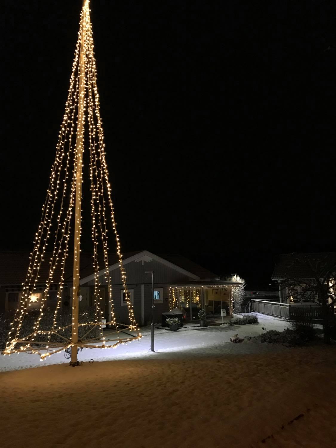 Julgranen Södra gården