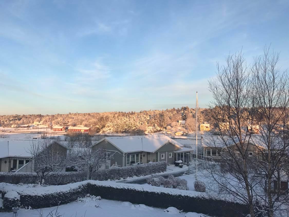 Vinter i brunstorps by