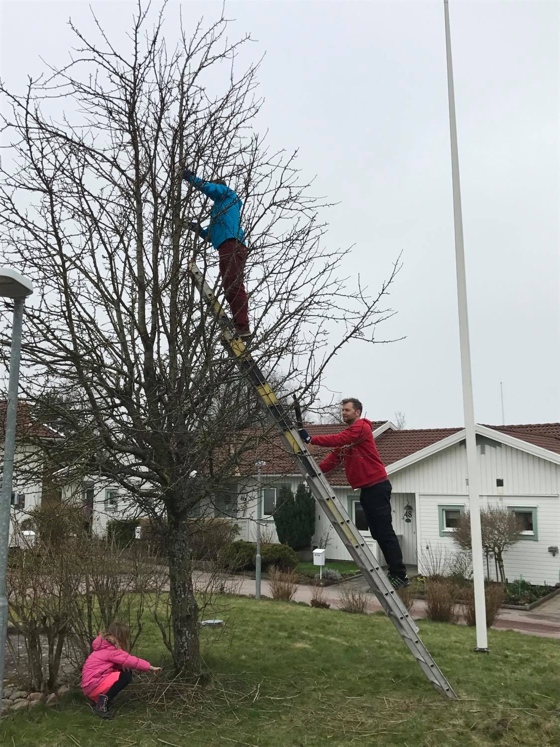 Skatboet skall ner...