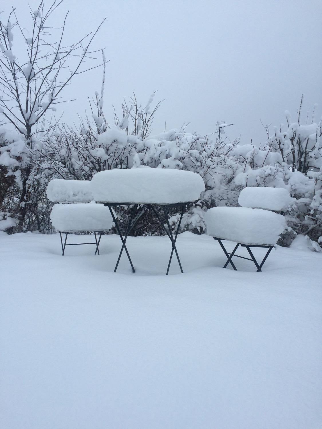 Vinter